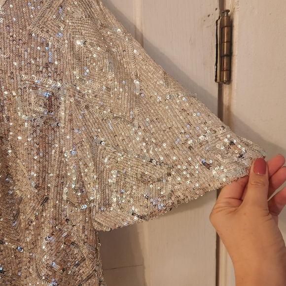 Skies Are Blue Top, Silver Sequined Cropped, Sz Small EUC Party, Cocktail, Club - Picture 6 of 14